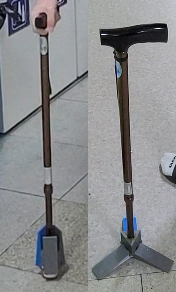 섰다! 지팡이