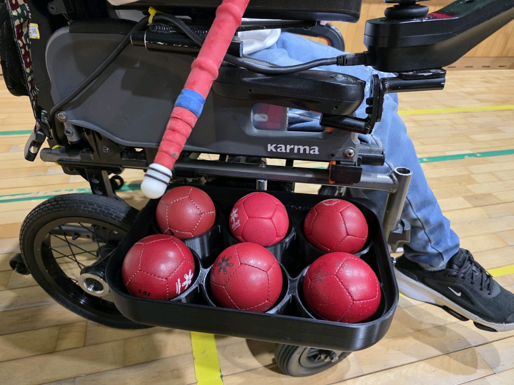 보치아 볼 트레이